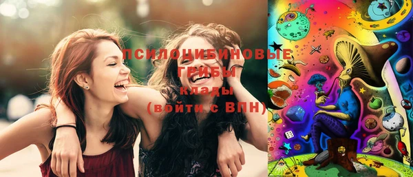 крисы Арсеньев