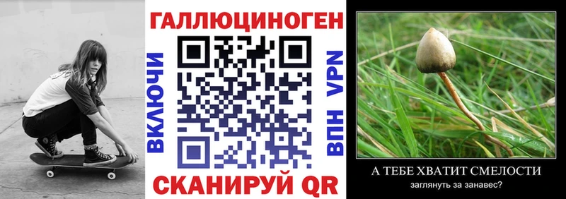 купить наркотик  Новодвинск  Псилоцибиновые грибы мухоморы 