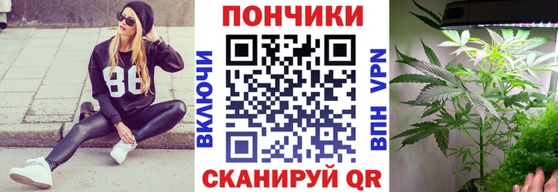 blacksprut ССЫЛКА  наркотики  Новодвинск  Бошки Шишки White Widow 